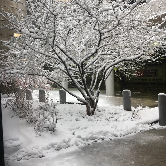 Meet your Posher, Samantha - Picture 1 of 1